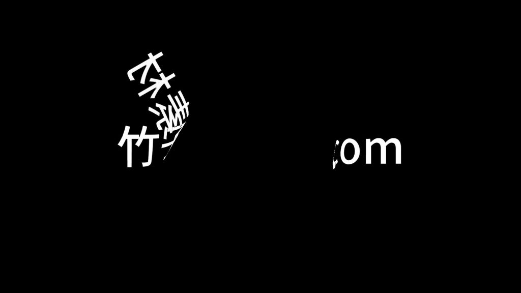 向内合页
