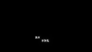 剪映两段字幕5 动效预设 – 分两句免费下载
