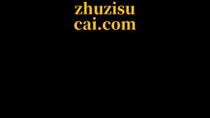 剪映两段字幕预设 – 分两句免费下载