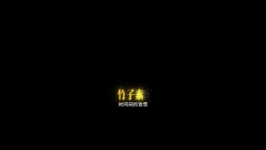 剪映视频作者介绍 文字字幕预设 – 人物介绍免费下载