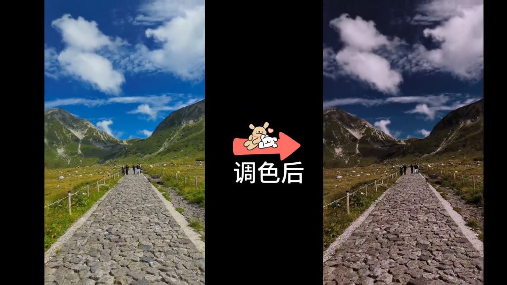 动作片-洋红调-2