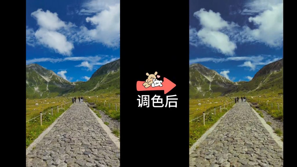 动作片-绿调室内-2