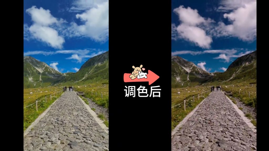 动作片-洋红调-3