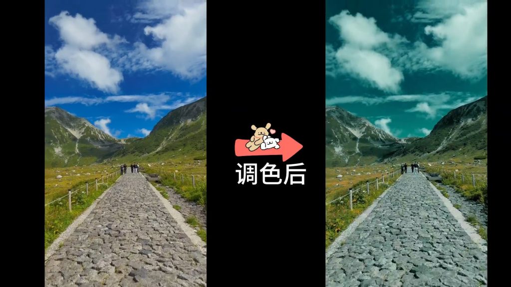 动作片-绿调室内-1
