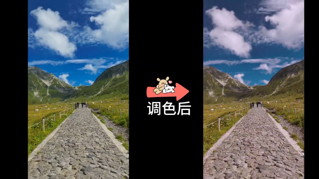 动作片-洋红调-1