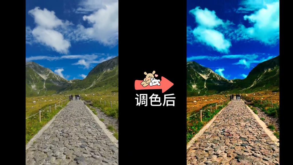 青青风格化Lut_applelog_3