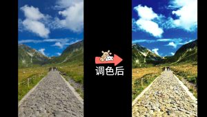 剪映SLog3SGamut3.CineToCine+709 LUT 调色预设 – 色彩空间转换免费下载