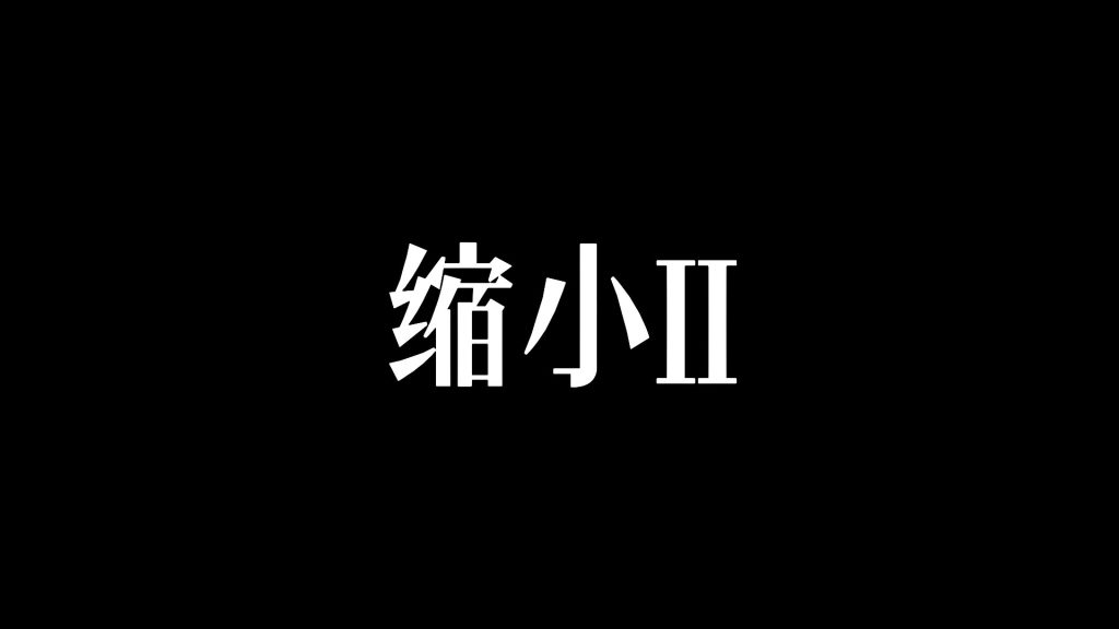 缩小2