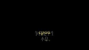 剪映旋转字幕收款到账 动效预设 – 数字变化免费下载