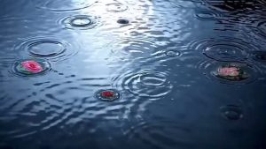 剪映雨落生花 动画预设 – 雨落生花免费下载