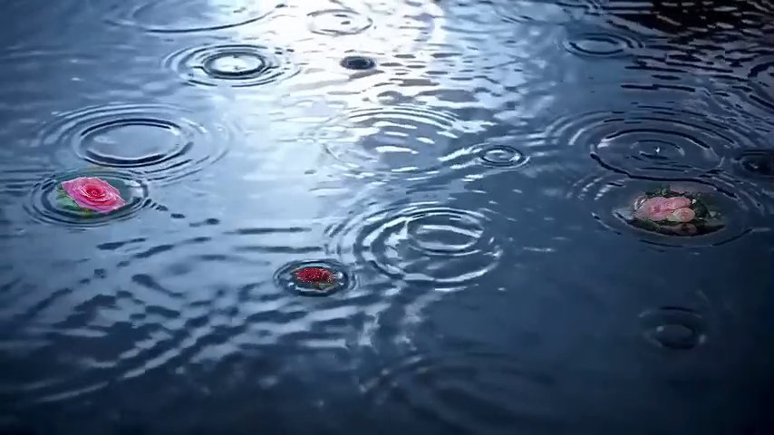 剪映雨落生花 动画预设 – 雨落生花免费下载